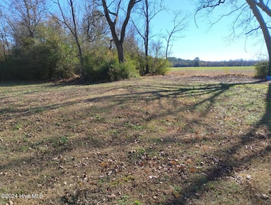 Back Yard (2)