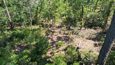 0 E Royal Oak Dr unit 372429, Perry, FL 32348 - photo 6