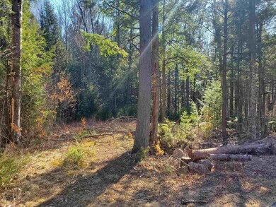 Lot R06-34B Forest Pond Rd, New Hampton, NH 03256 - photo 2