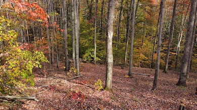 dji_fly_20241028_152026_434_173014400684