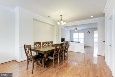 25448 Schooley Mill Terrace, Chantilly, VA 20152 - photo 5