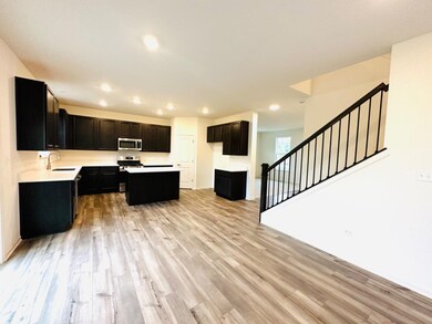 11115 Michigan Place, Crown Point, IN 46307 - photo 5