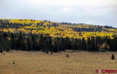 0 Cardwell Draw Rd unit 716504, Powderhorn, CO 81243 - photo 4