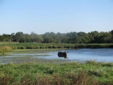 310 E 58 Hwy, Raymore, MO 64083 - photo 3