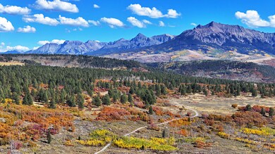 1250 McKenzie Springs Rd, Placerville, CO 81430 - photo 4