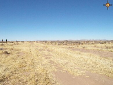 0 Dr Unit 111 Bk 2 T 18-27 unit 20180432, Deming, NM 88030 - photo 4