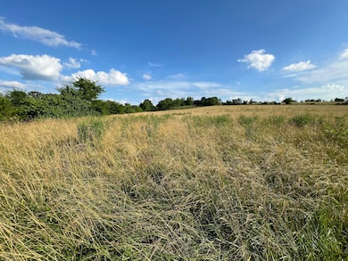 4811 Hwy Mm, Mountain Grove, MO 65711 - photo 5