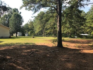 152 Hannah Branch Rd, Cordele, GA 31015 - photo 7