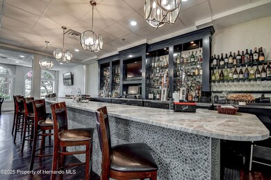 9120 Players Dr, Weeki Wachee, FL 34613 - photo 6