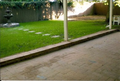 Lush grass backyard