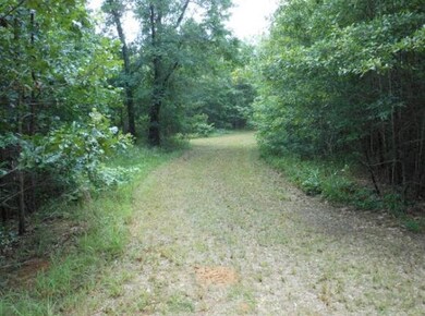Pic 6