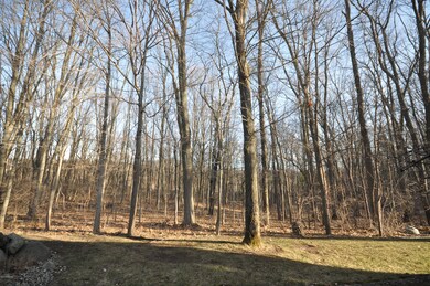 Wooded view