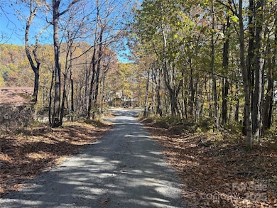 Lot 6 Miller Mountain Rd unit 6, Saluda, NC 28773 - photo 4