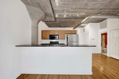 University Commons VI unit 209, Chicago, IL 60608 - photo 5