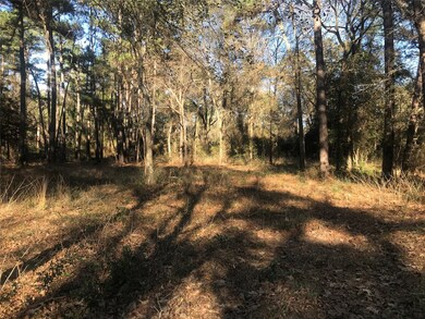 0 Roberts Cemetery Rd unit 13063237, Hockley, TX 77447 - photo 6