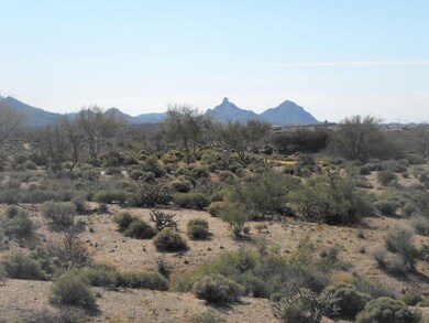 Lot 340 Pinnacle Peak View