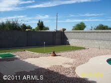 Green Back Yard