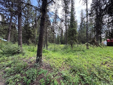 768 Deep Woods Trail, Polebridge, MT 59928 - photo 2