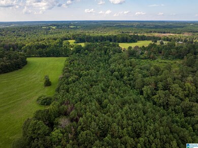 0 County Road 32 unit 21428567, Double Springs, AL 35553 - photo 7