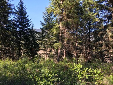 126 Deer Run Rd, Trout Creek, MT 59874 - photo 5