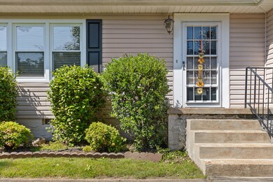 Thrushwood-18