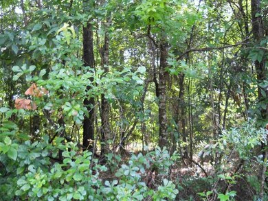 xx Dr Martin Luther King Rd, Crawfordville, FL 32327 - photo 2