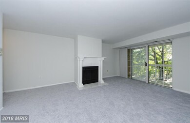 1904 Wilson Ln unit 202, McLean, VA 22102 - photo 3