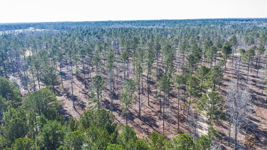 1911 White Rock Rd, Lincolnton, GA 30817 - photo 3