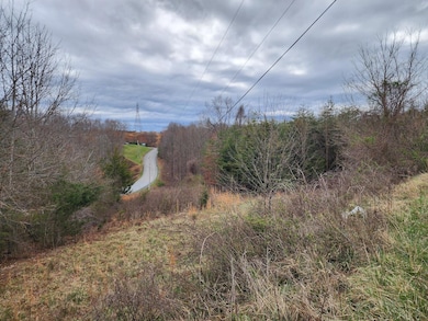 9 and 9A Industry Blvd, Rocky Mount, VA 24151 - photo 2