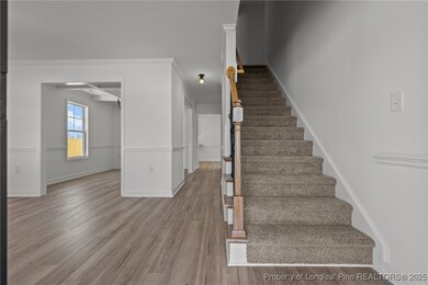 1254 Chason Rd, Lumber Bridge, NC 28357 - photo 5