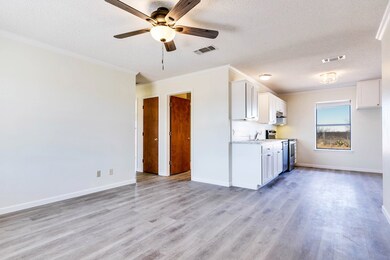 11421 Knickerbocker Rd, San Angelo, TX 76904 - photo 4