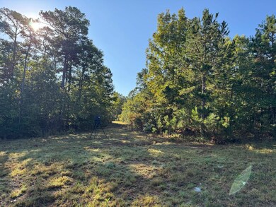 000 Hwy 9, Rushing, AR 72051 - photo 5