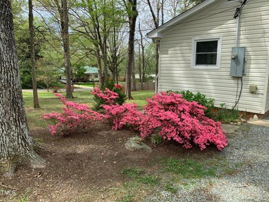 Pink azaleas