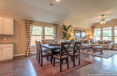 10813 Tansy Canyon, Helotes, TX 78023 - photo 4