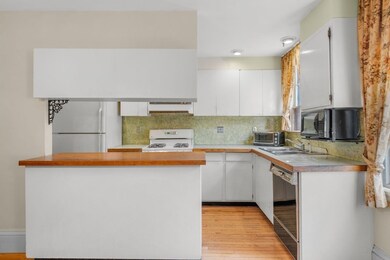 142 W Canton St, Boston, MA 02118 - photo 7