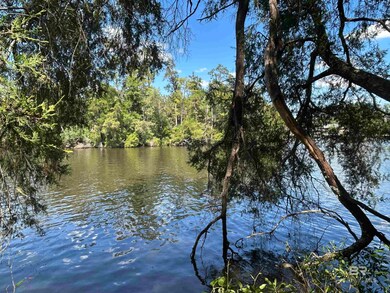 0 Liatrus Ln unit 12 384772, Seminole, AL 36574 - photo 4