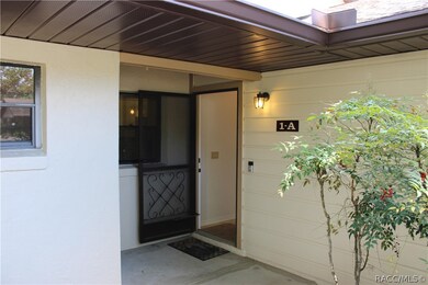 333 E Hartford St unit 1A, Hernando, FL 34442 - photo 7