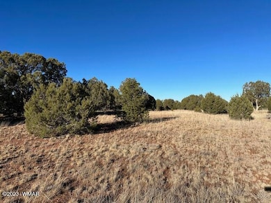 13 Lone Pine Dam Rd, Show Low, AZ 85901 - photo 6