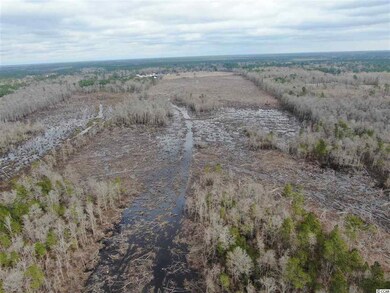 3617 Old Reaves Ferry Rd, Conway, SC 29526 - photo 5