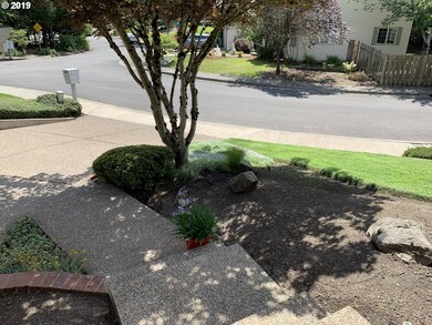 Front Yard