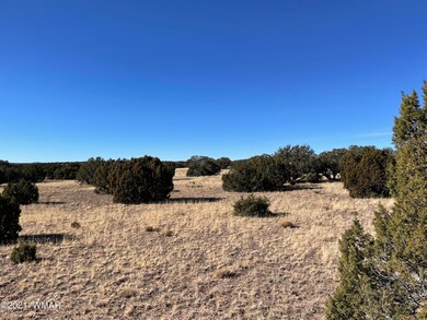 40 acres Adjacent to State Trust Land.