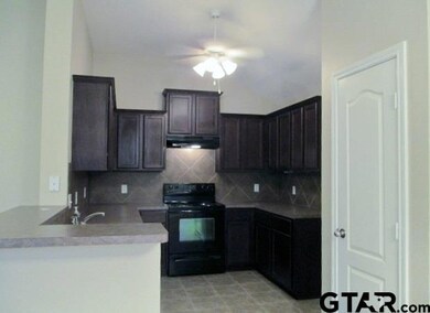100 100 Alpine, Tyler, TX 75701 - photo 6