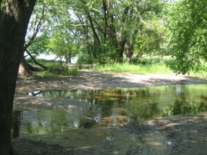 IMG_1055