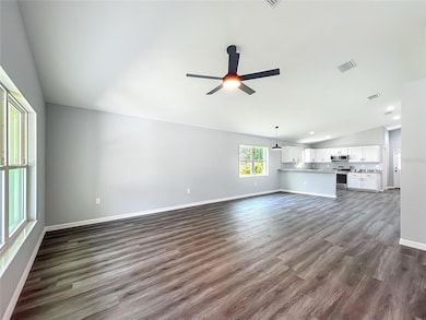 919 Cr 482c, Lake Panasoffkee, FL 33538 - photo 5