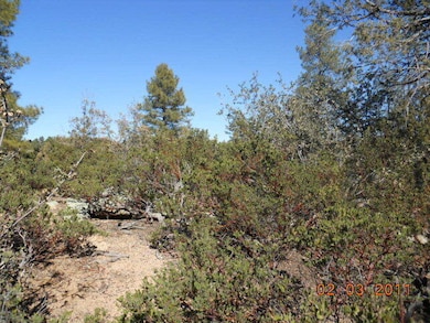619 GRAPEVINE DRIVE