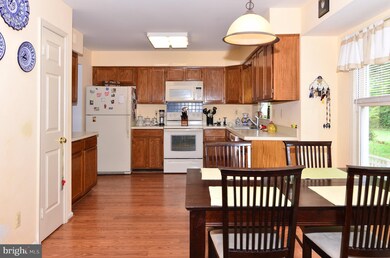 3552 Armfield Farm Dr, Chantilly, VA 20151 - photo 2