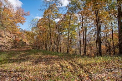 Tract 3 Sigogglin Trail, Jonathan Creek, NC 28785 - photo 5