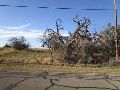 19087 White Bluff Dr, Whitney, TX 76692 - photo 4