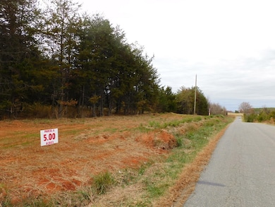 5 (P4) Brights Rd, Gretna, VA 24557 - photo 5