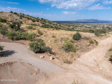 Potential future homesite